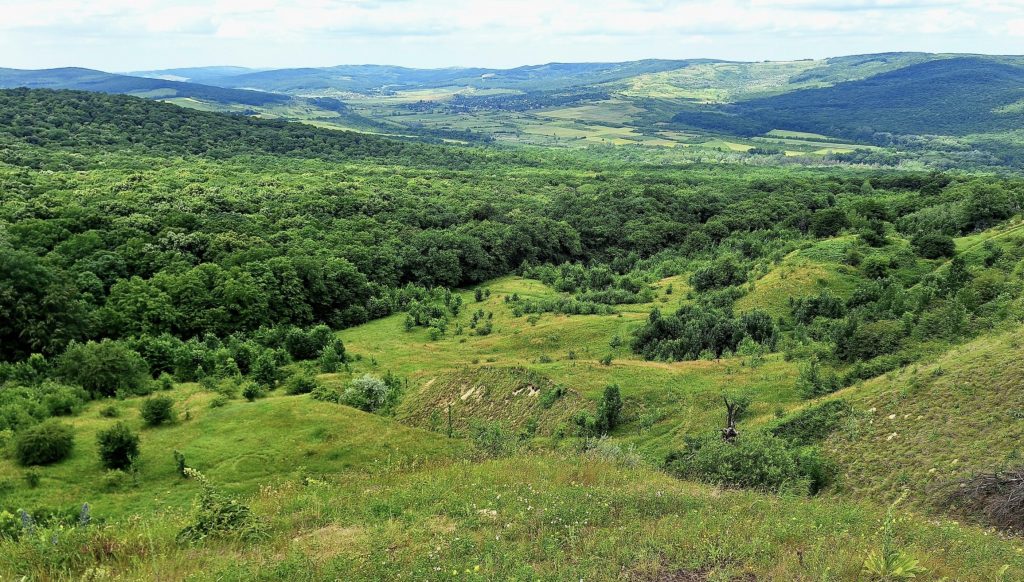 la halboc micul brasov