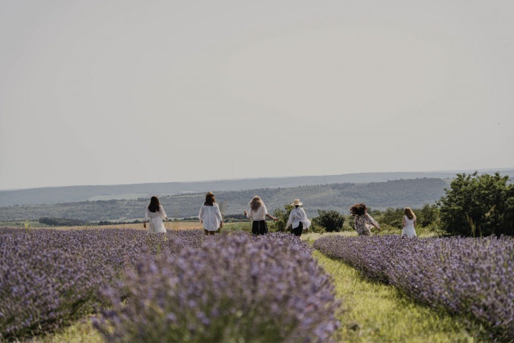 lavanda hill&valley