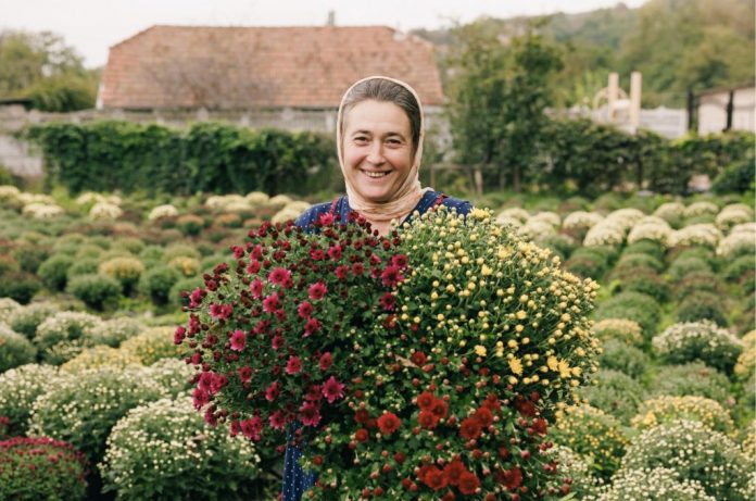 aurelia-balan aurelia balan