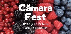 camara fest