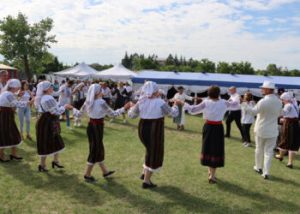 festival la fintinita