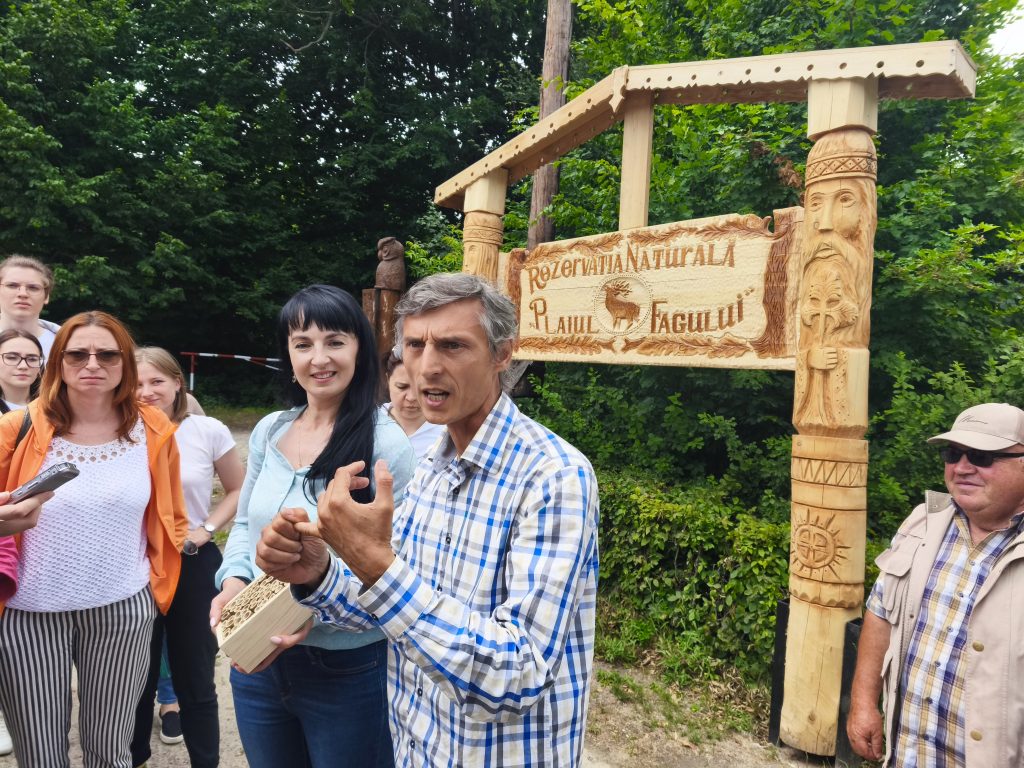 plaiul fagului