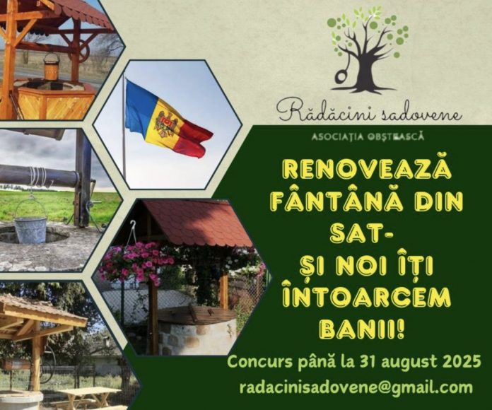 sadova-concurs concurs sadova fantina