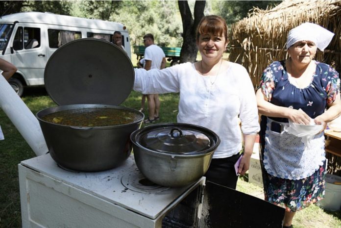zeama festivalul zemii