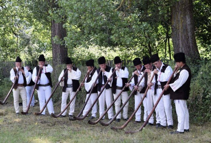 bucium se cauta buciumasi