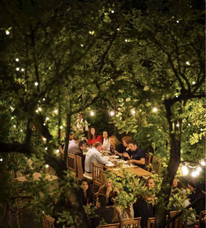 cina-livada cina in livada