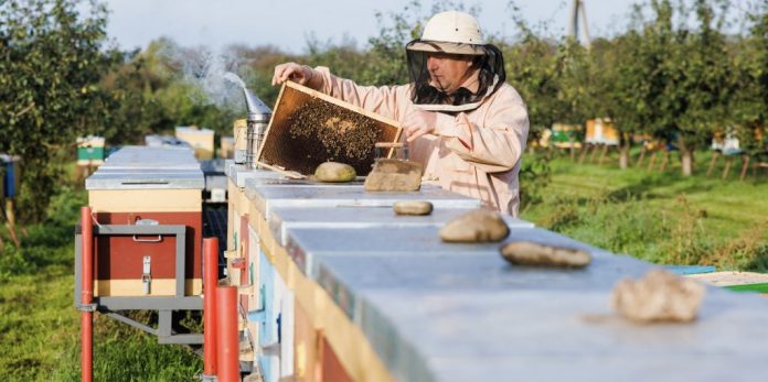 concurs-clustere pnud