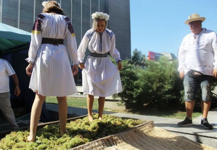 harvest harvest hill & valley