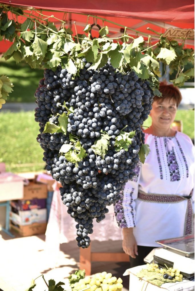 concursuri si degustari