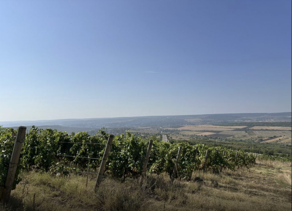 vinaria unicorn sprijin de la livada moldovei