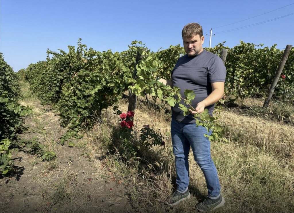 vinaria unicorn sergiu galusca