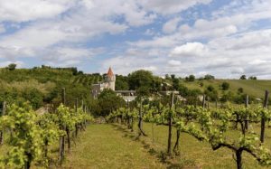 château Sobor