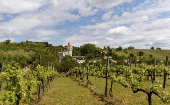 sobor-family château Sobor