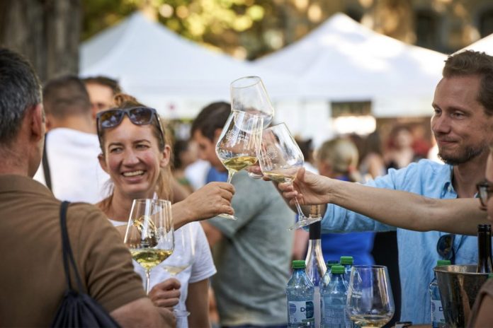 vin-autor-2025 turismul vitivinicol