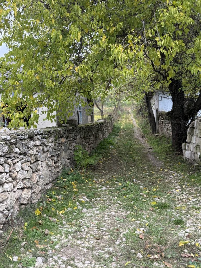 sedinte foto de toamna