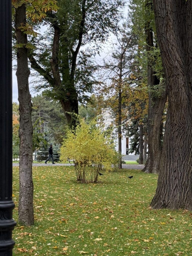 parcul catedralei
