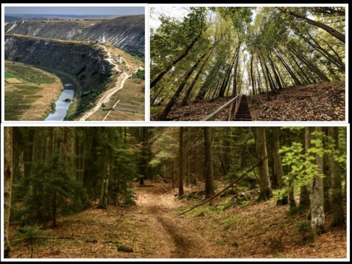 escapada escapada de toamna