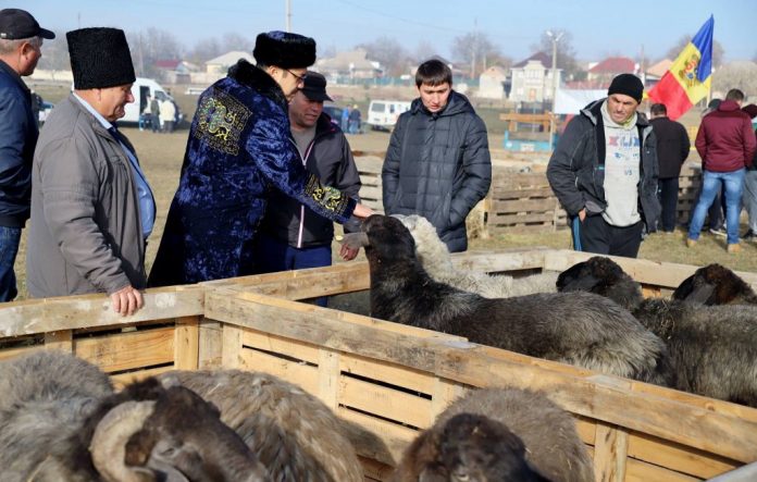 miorita-laie-bucalaie