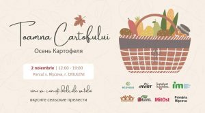 toamna cartofului