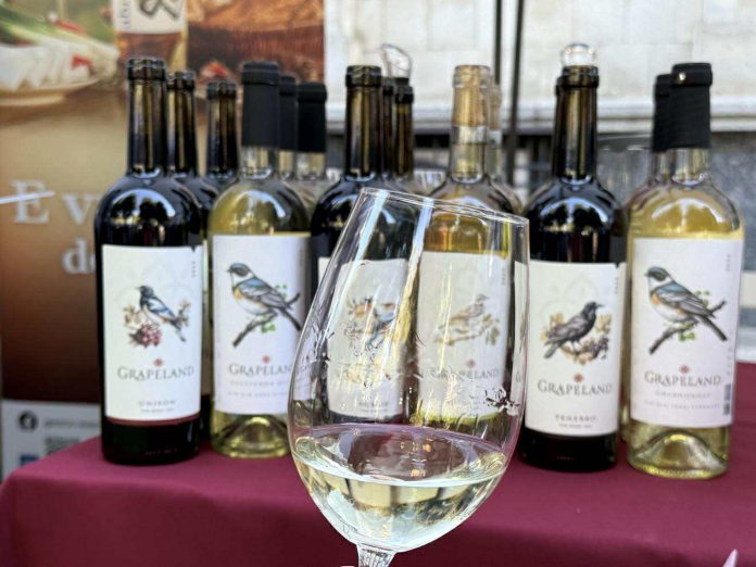 vinuri-grapeland grapeland