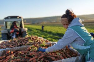 digitalizarea agriculturii