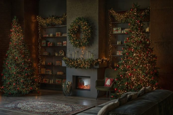 art-stage1 sesiuni foto de iarna