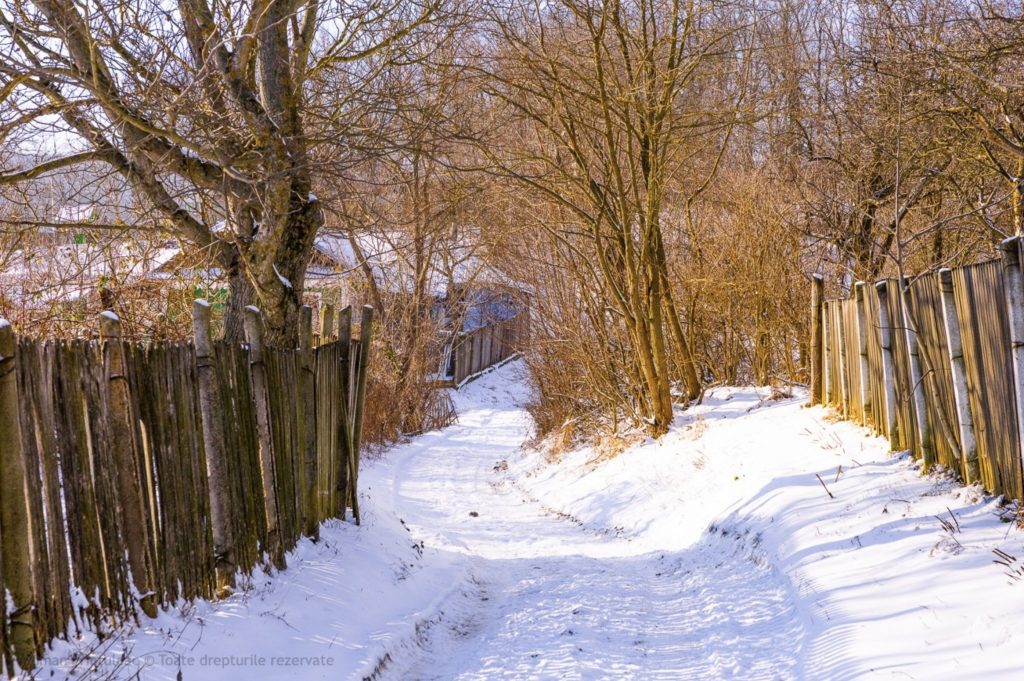 calarasi pe timp de iarna
