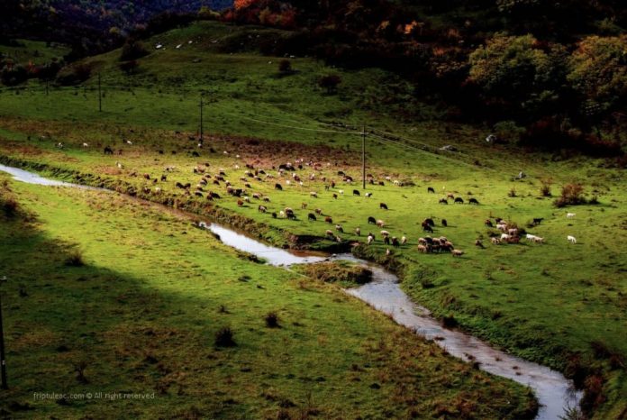 riul-ciorna riul ciorna