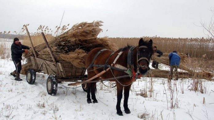 stuf ecovillage moldova