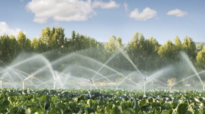 irigare granturi ifad