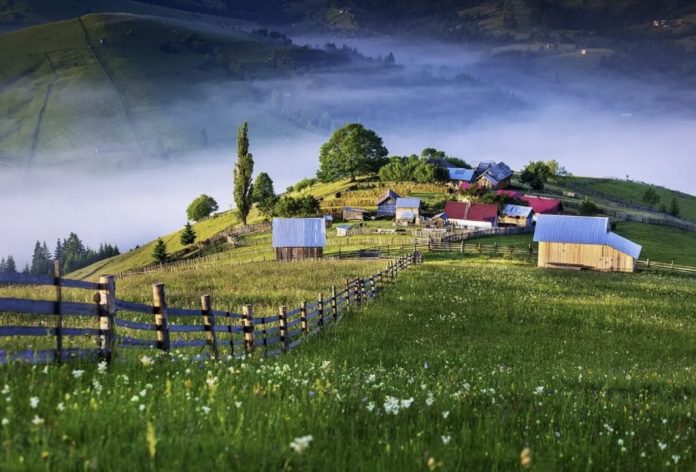 bucovina turism romania