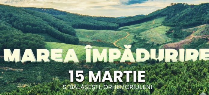 impadurire marea impadurire