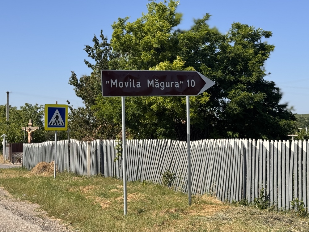 movila măgurii