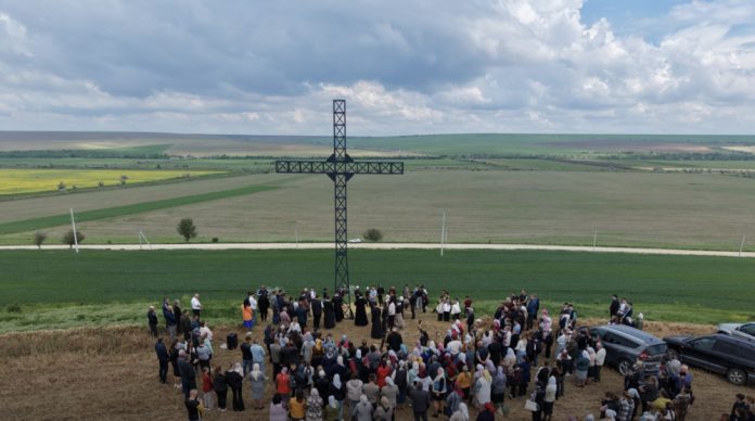 salcuta cruce salcuta