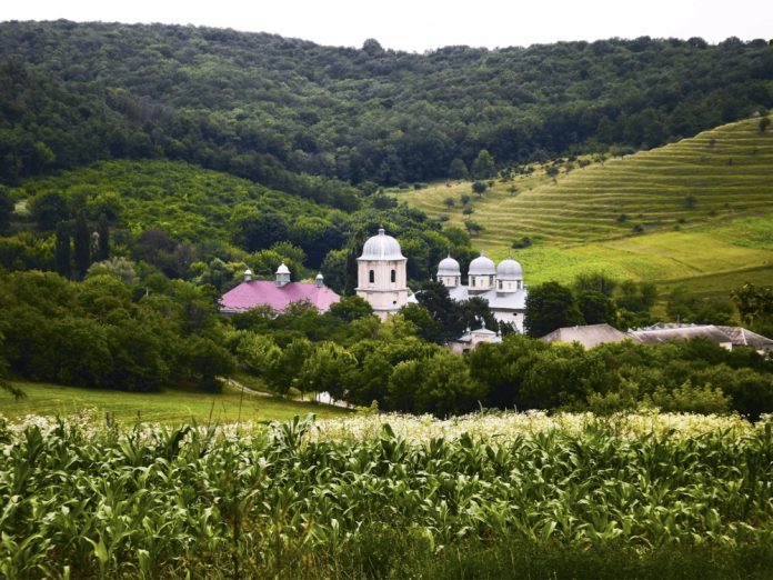 manastirea-dobrusa manastirea dobrusa