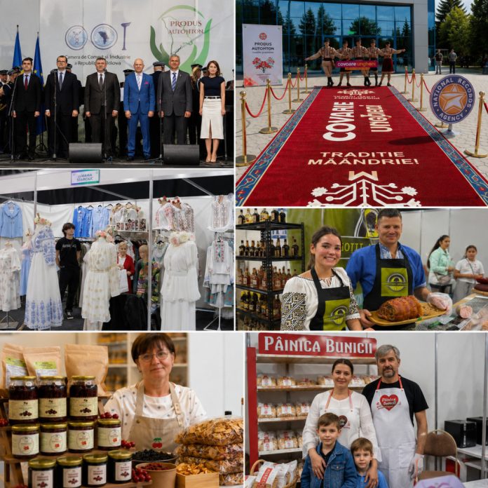 expozitie-colaj