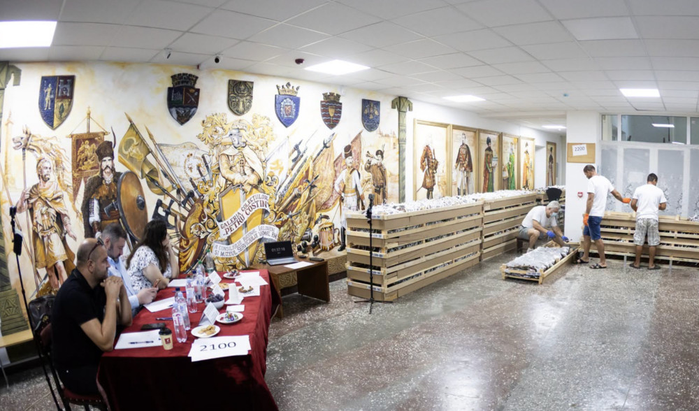 record potcoave petru costin