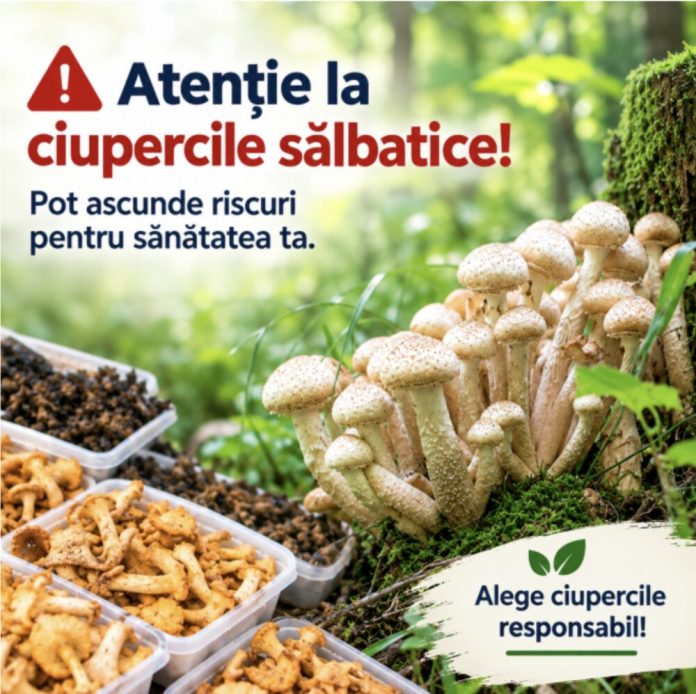 Screenshot ciuperci