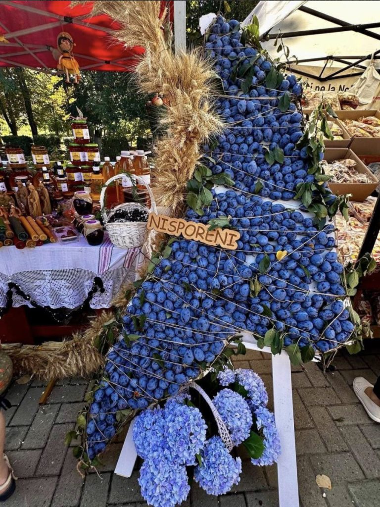 festivalul prunei