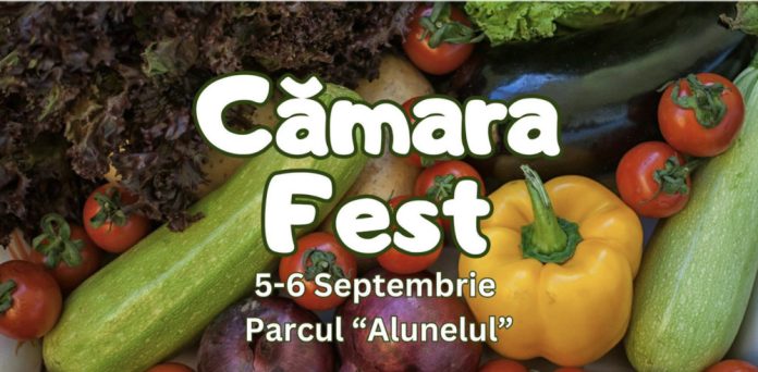 tirg-camara-fest camara fest